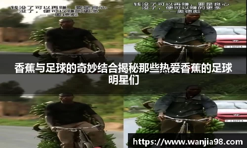 jn江南·体育登录入口